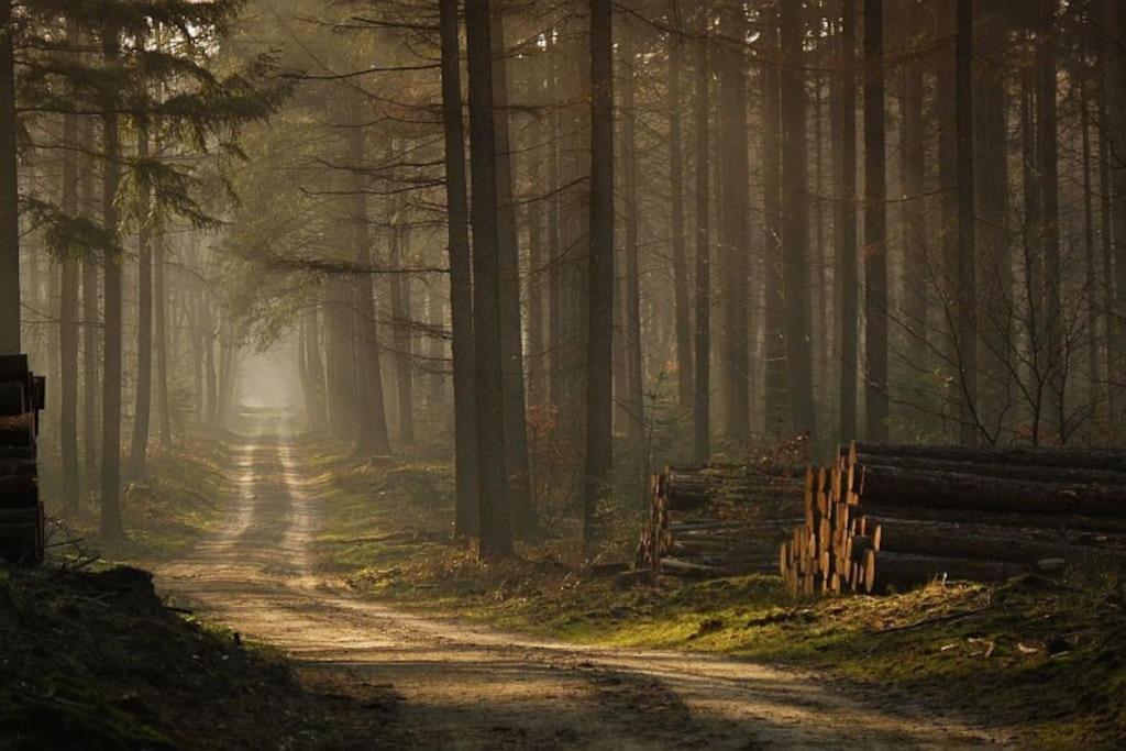 Reewold Veluwe Putten Exterior foto