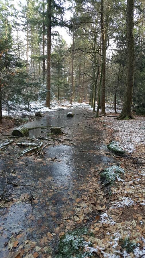 Reewold Veluwe Putten Exterior foto