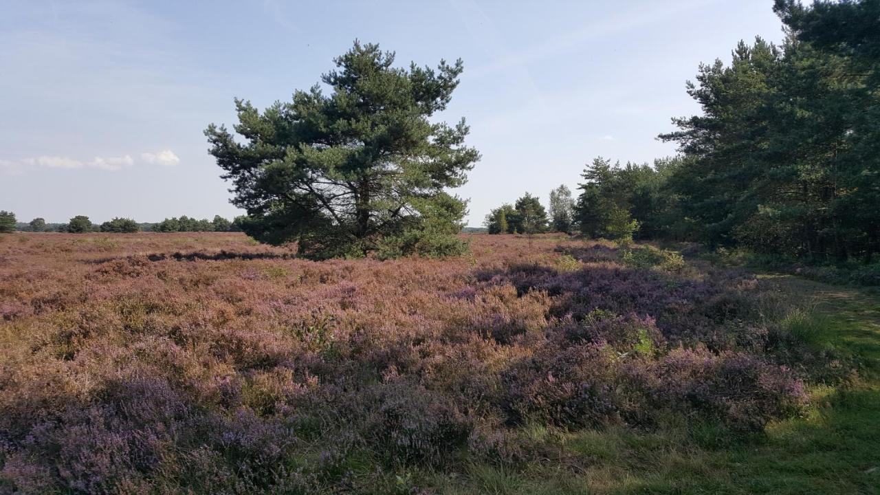 Reewold Veluwe Putten Exterior foto