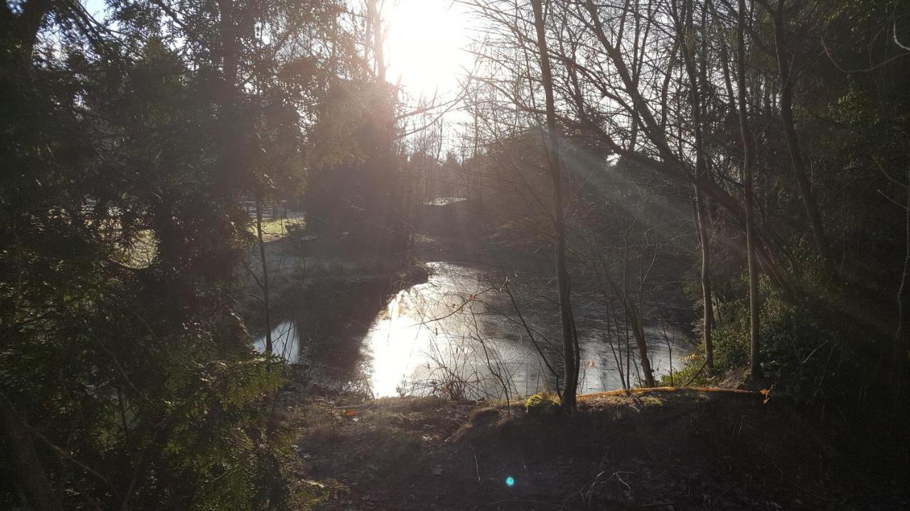 Reewold Veluwe Putten Exterior foto