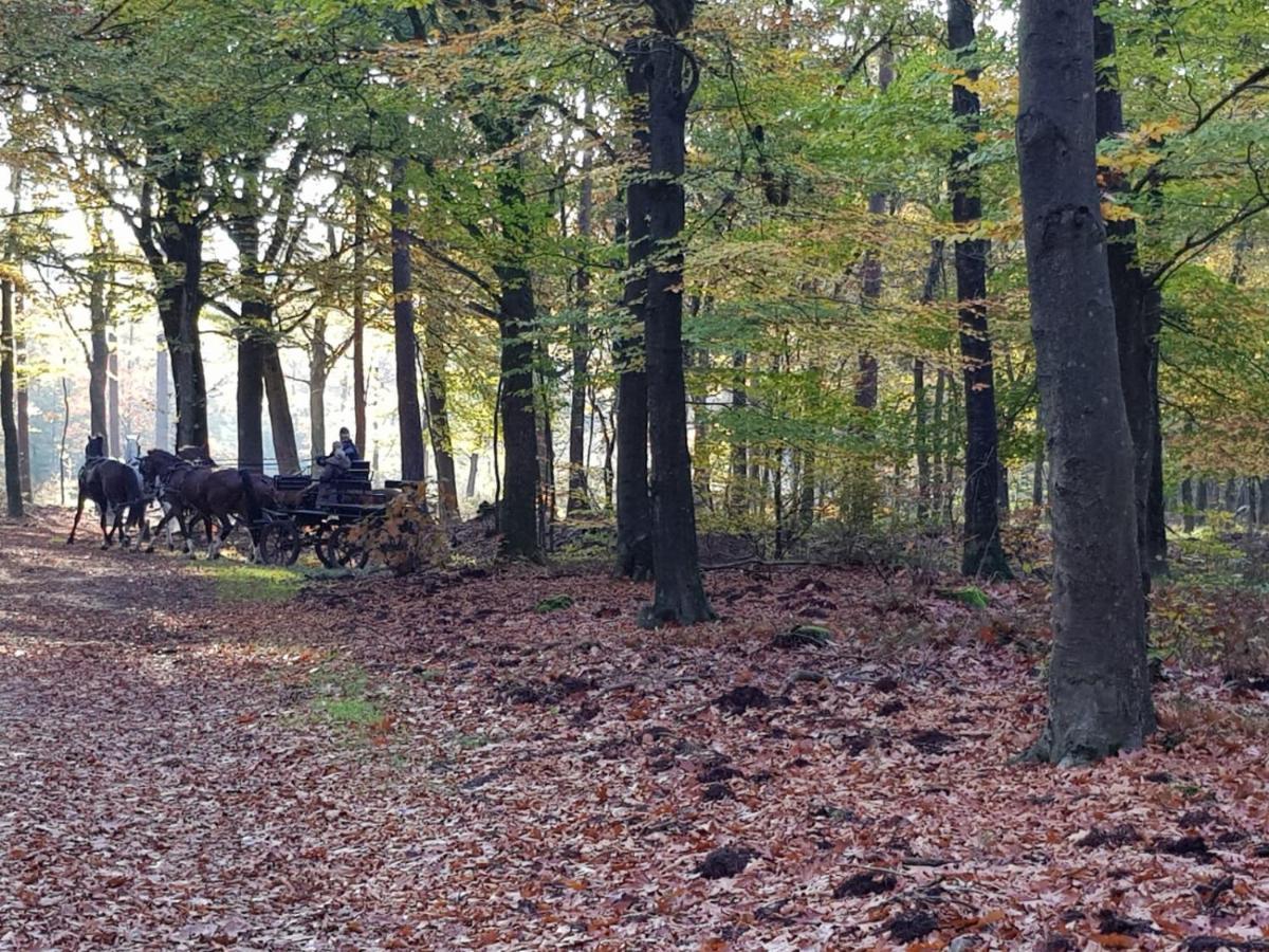 Reewold Veluwe Putten Exterior foto