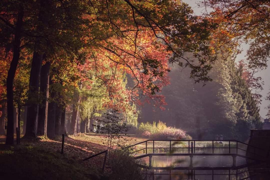 Reewold Veluwe Putten Exterior foto